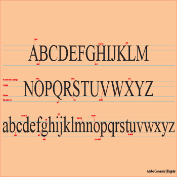 Typeography